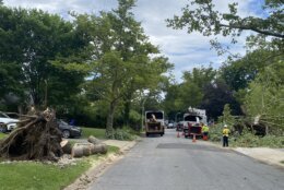 The cleanup was underway Wednesday in Bowie, Maryland, after Tuesday's storms downed trees and power lines and damaged some homes.