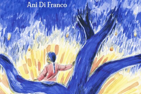 Ani DiFranco picture book is scheduled for March 2023