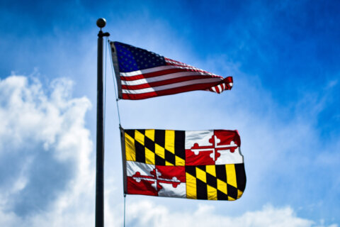 Anne Arundel bill to limit flags on county property receives pushback