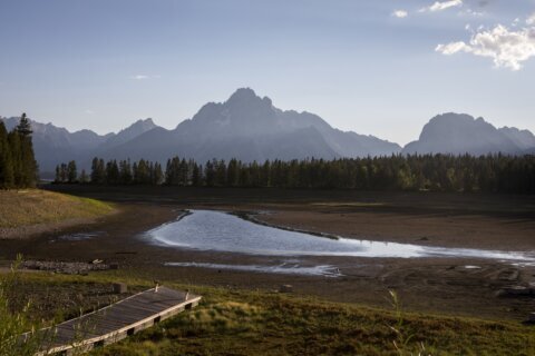 Climate change alters life at Fed’s Jackson Hole conference