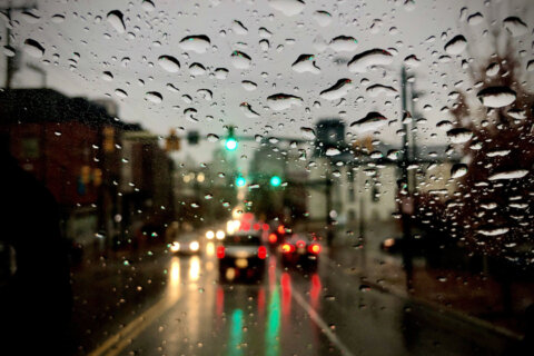 Morning rain. Highs in the 60s.