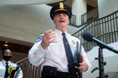 US Capitol Police chief on reform and public expectations