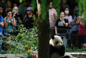 DC tourists are back, just not many foreign ones