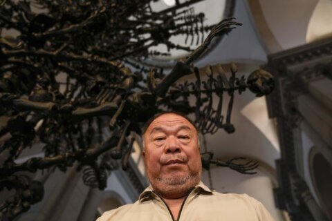 Artist Ai Weiwei warns against hubris in ‘troublesome’ times