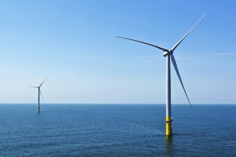 Utility: Guarantee for large offshore wind farm ‘untenable’