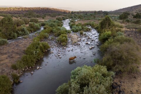 Jordan River, Jesus’ baptism site, is today barely a trickle