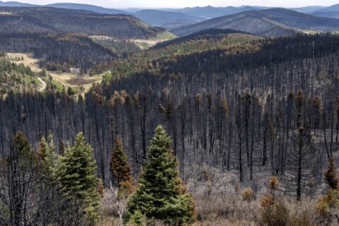 Record-setting wildfire in New Mexico declared contained