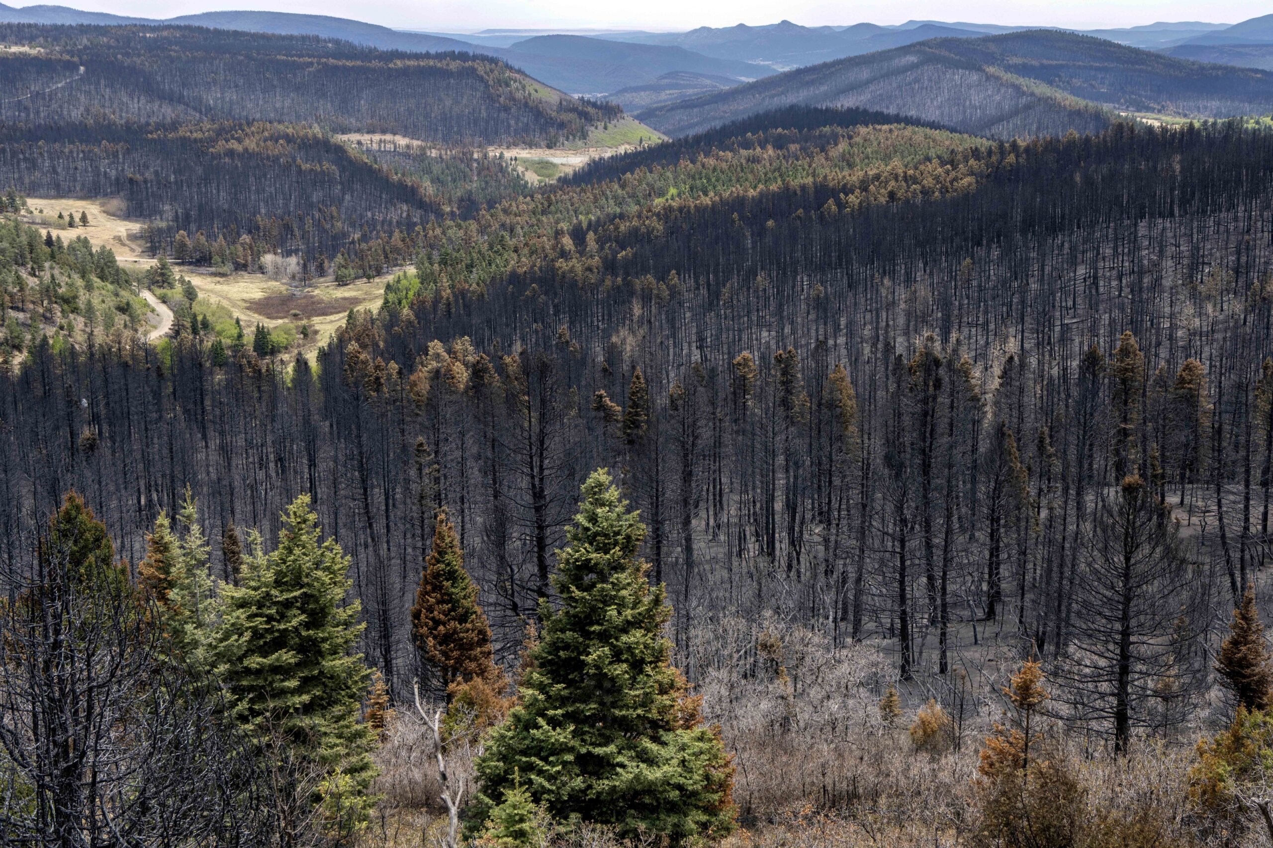 Recordsetting wildfire in New Mexico declared contained WTOP News