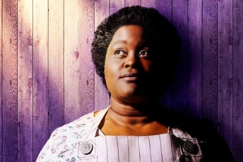 Signature Theatre stages Alice Walker’s Pulitzer masterpiece ‘The Color Purple’