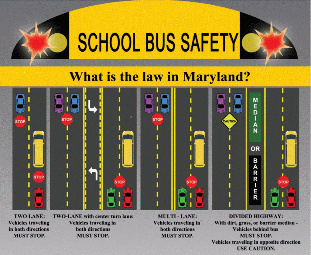 school bus safety graphic