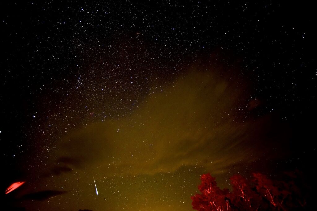 A bright Perseid meteor photographed at SNP Big Meadow.