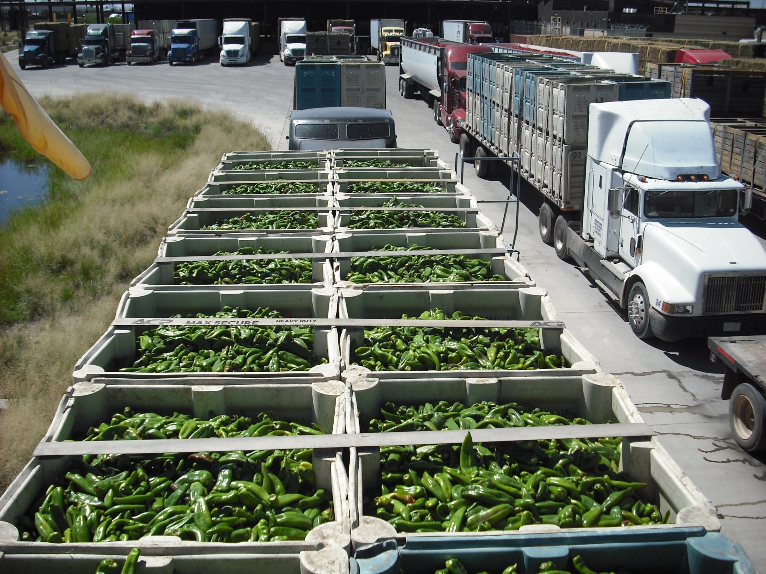 Inspections Of Chile Imports Heat Up At New Mexico Border WTOP News