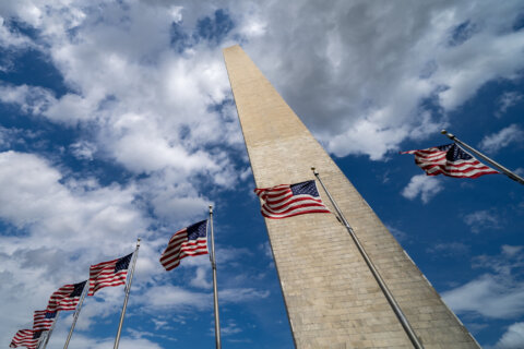 American flags blowing in the wind with the Washington Monument along the National Mall