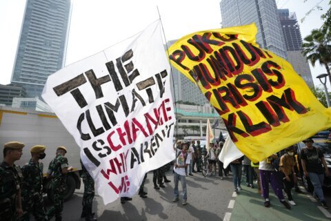 Afraid and anxious, young protesters demand climate action