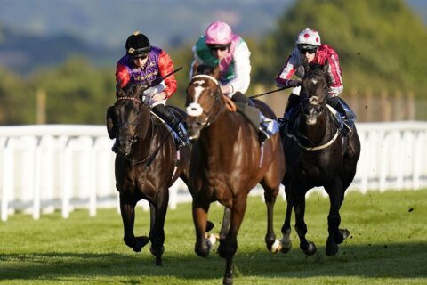 Royal silks return as King Charles III’s horse finishes 2nd