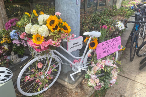 Hundreds of cyclists join memorial ride for woman killed on her bike in Bethesda