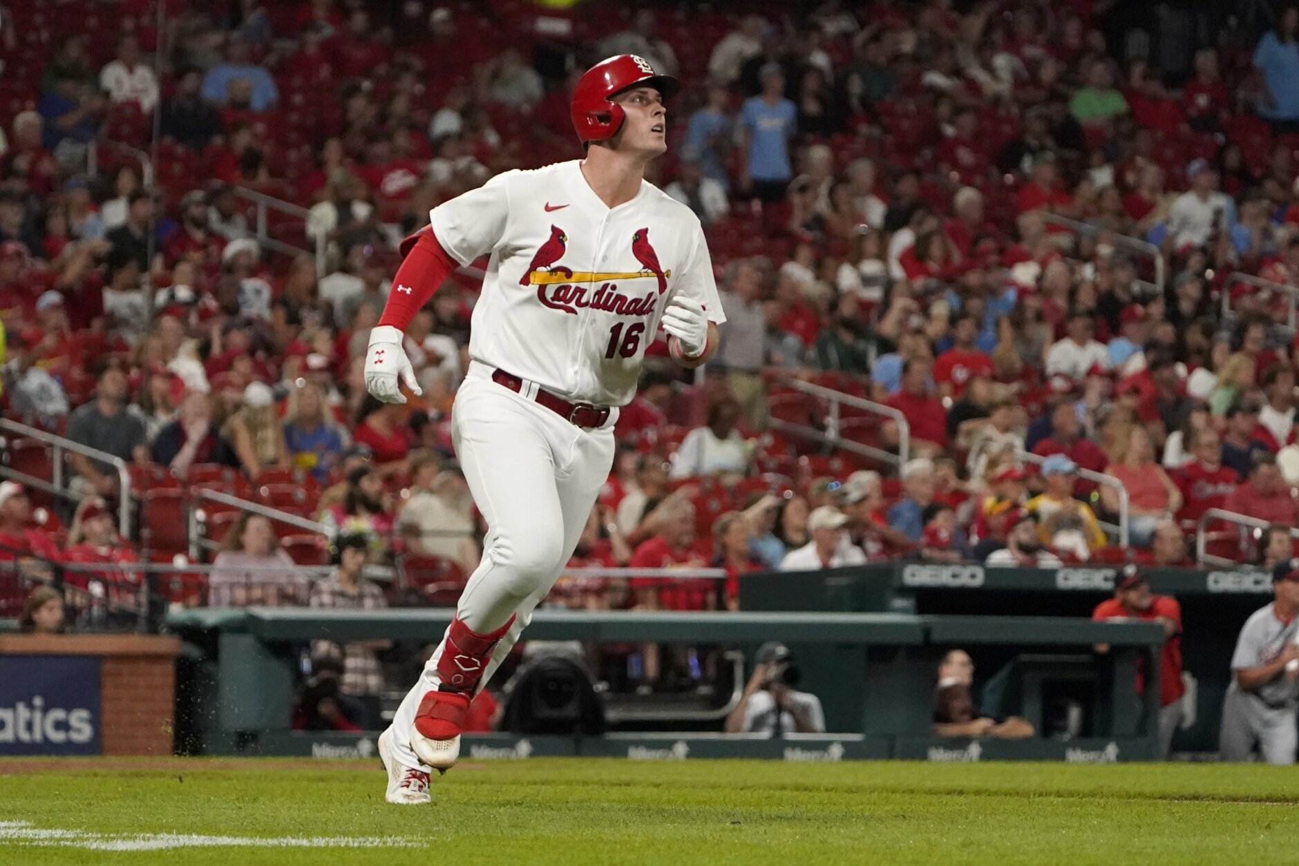 Nolan Gorman on X: Thank You to the @Cardinals for giving me the  opportunity to represent the ball club, the city, and the Cardinals  community. Truly a first class organization. I will