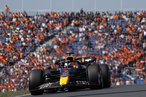 Verstappen takes pole at Dutch GP, fan ejected for flare use