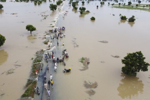 Nigeria battles worst floods in years; 300 killed in 2022