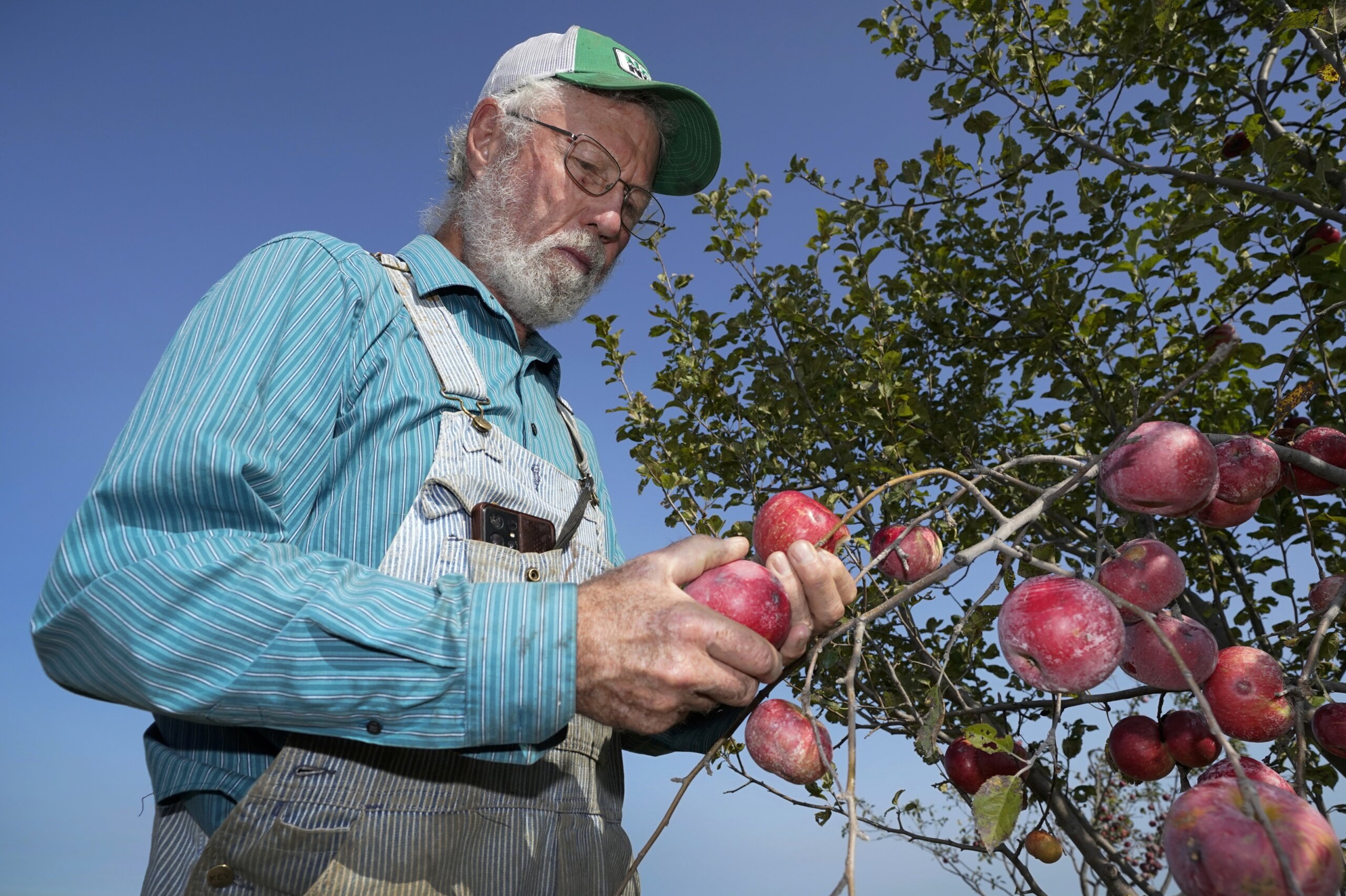 More Consumers Buying Organic But US Farmers Still Wary WTOP News