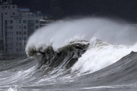 Typhoon batters S. Korea, preparations minimize casualties