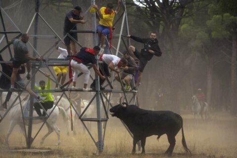 Old Spanish festival ends without gore, but bull still dies