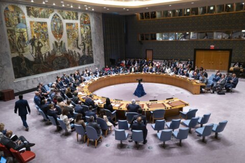 Politics impede long-advocated growth of UN Security Council