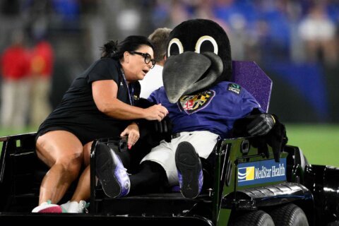 Ravens mascot Poe lands on injured reserve with ‘drumstick’ injury