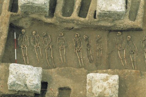 Genetic twist: Medieval plague may have molded our immunity
