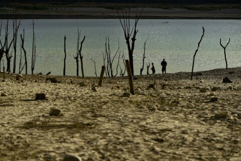 Climate change made summer drought 20 times more likely
