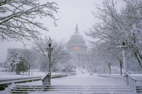 When will the DC area see its first inch of snow?