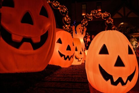 Things to do in the DC area: Spooky and scary Halloween events … and more!