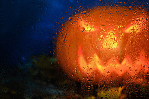 Wet and spooky Halloween in the DC area — but mostly wet