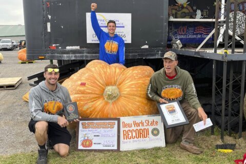 Super squash: 2,554-pound pumpkin carves out new US record