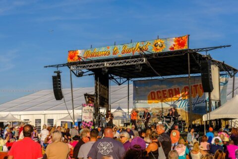 Sunfest festival shines in Ocean City