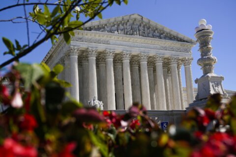Abortion-rights protesters briefly interrupt Supreme Court