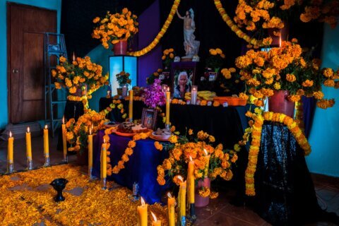 Things to do in the DC area: Fright Fête, Día de los Muertos … and more!