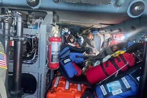 Shark attacks, jellyfish stings and 28 hours floating at sea: How 3 boaters survived