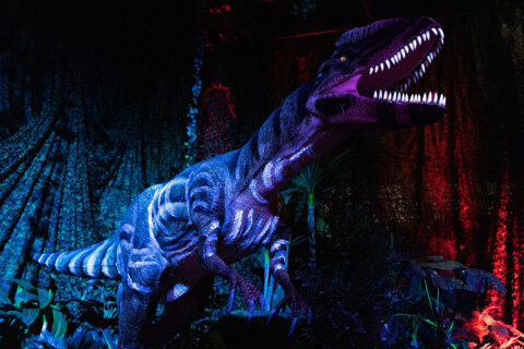 ‘Dinos Alive’ exhibit comes to DC