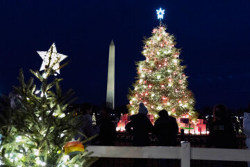 WATCH: 2022 National Christmas tree lighting