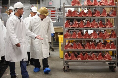 USDA says more than $200M will help meat processors expand