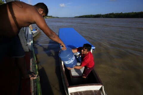 Climate Migration: Açai growers flee salty Amazon water