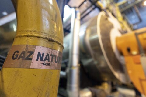 Europe urged to save natural gas to avoid shortage next year