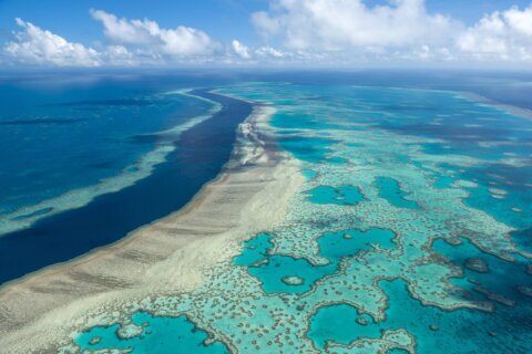 UN: Great Barrier Reef should be on heritage ‘danger’ list