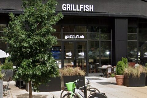 DC’s Grillfish and sister restaurant The Pig are closing