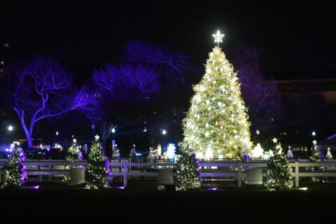 Lucky viewers gather at DC’s President’s Park for National Christmas Tree Lighting