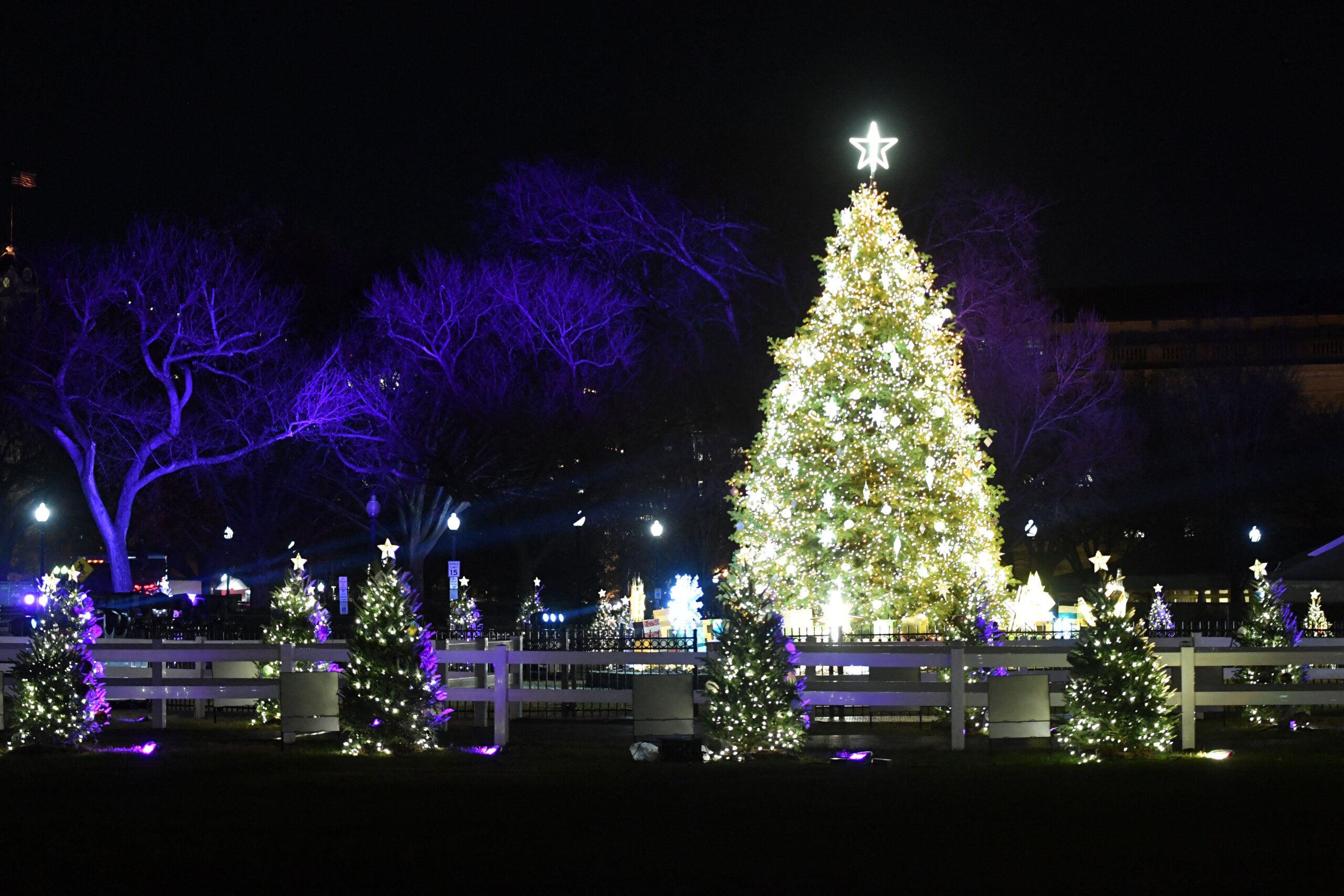 今年的国家圣诞树点灯活动需要了解的事项