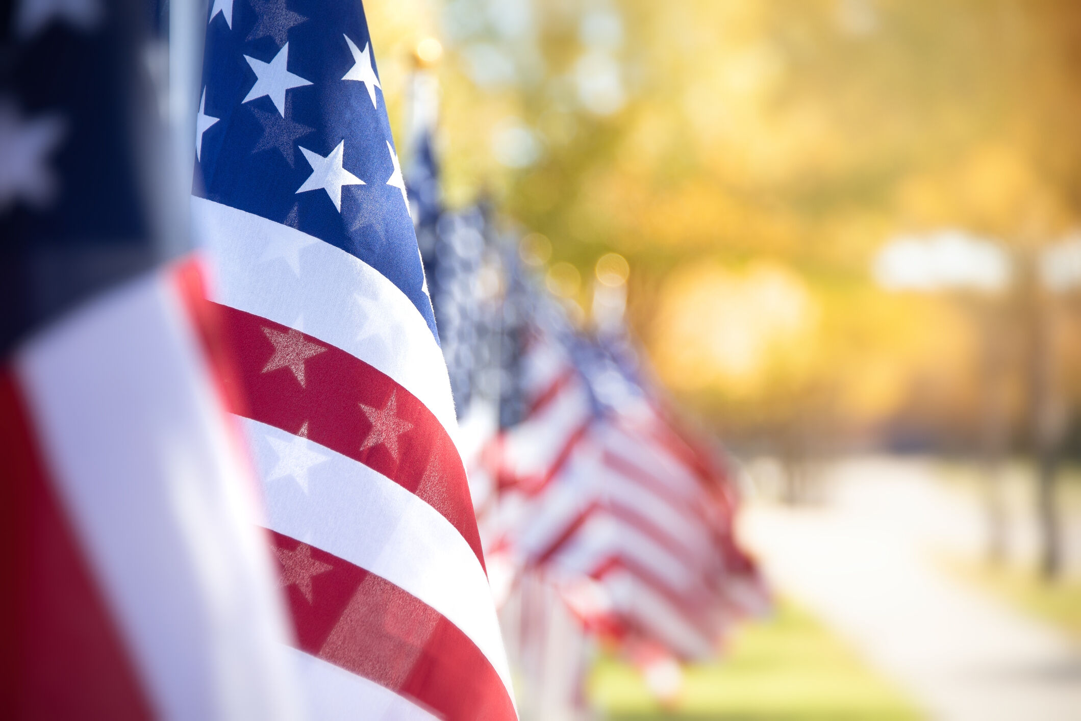 List Of Freebies For Veterans Day