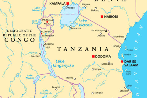 Tanzania: Plane crashes into Lake Victoria; 19 dead