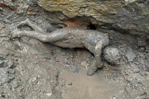 Discovery of bronzes rewrites Italy’s Etruscan-Roman history
